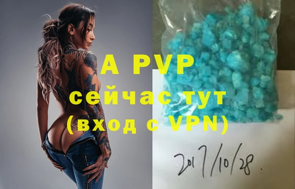 apvp Богданович